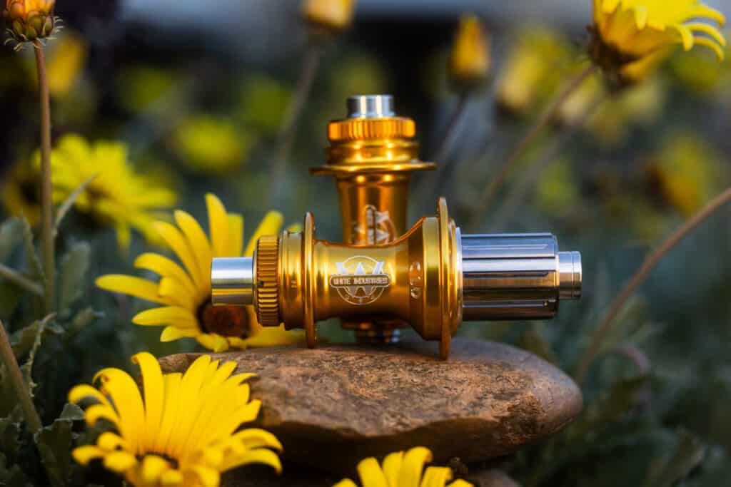 Gold Collection: A Finish That Shines